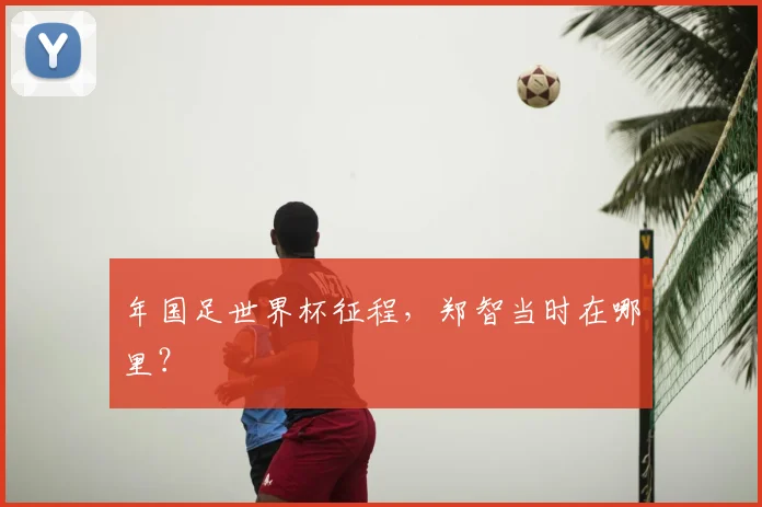 年国足世界杯征程，郑智当时在哪里？