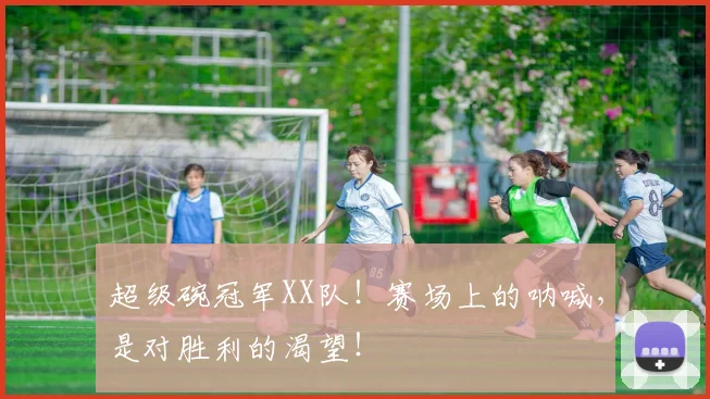 超级碗冠军XX队!赛场上的呐喊,是对胜利的渴望!