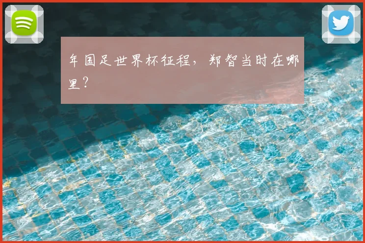 年国足世界杯征程,郑智当时在哪里?