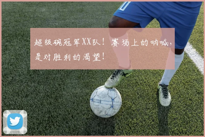 超级碗冠军XX队!赛场上的呐喊,是对胜利的渴望!